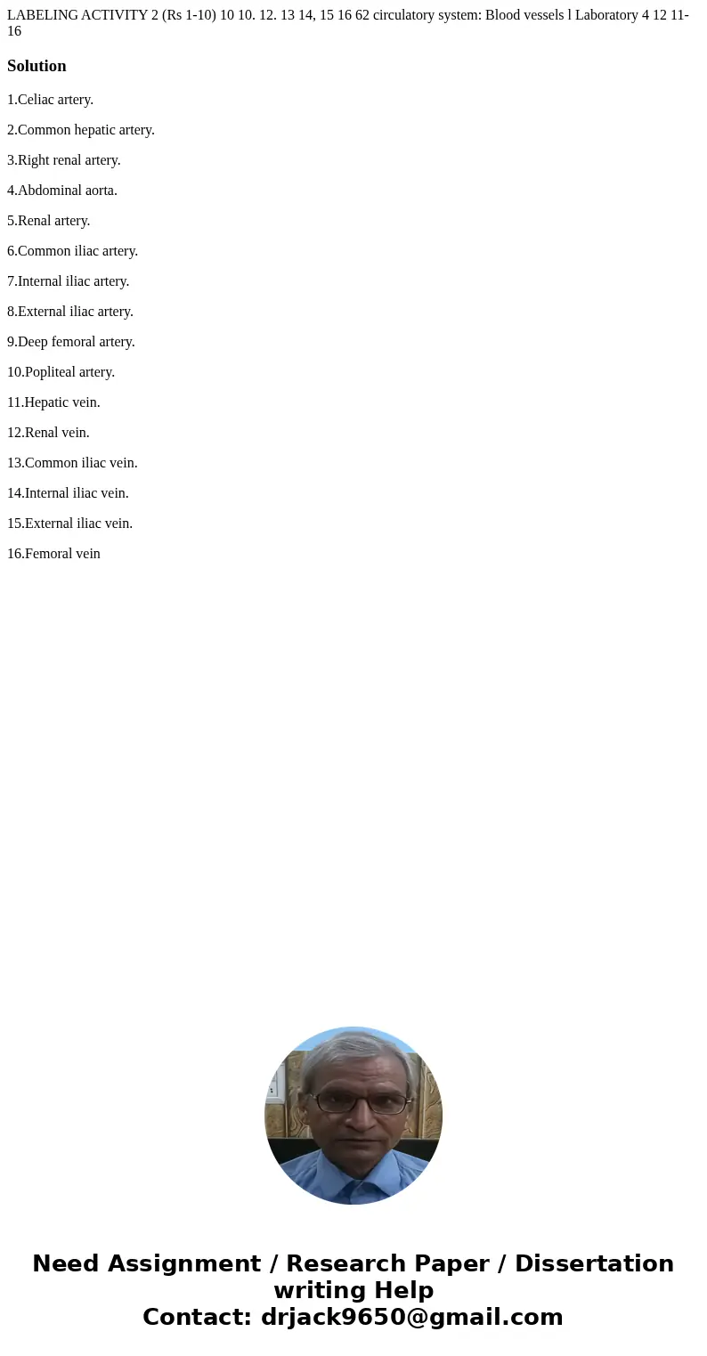  LABELING ACTIVITY 2 (Rs 1-10) 10 10. 12. 13 14, 15 16 62 circulatory system: Blood vessels l Laboratory 4 12 11-16 Solution1.Celiac artery. 2.Common hepatic ar