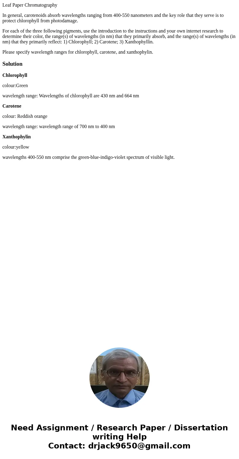 Leaf Paper Chromatography In general, carotenoids absorb wavelengths ranging from 400-550 nanometers and the key role that they serve is to protect chlorophyll  Leaf Paper Chromatography In general, carotenoids absorb wavelengths ranging from 400-550 nanometers and the key role that they serve is to protect chlorophyll