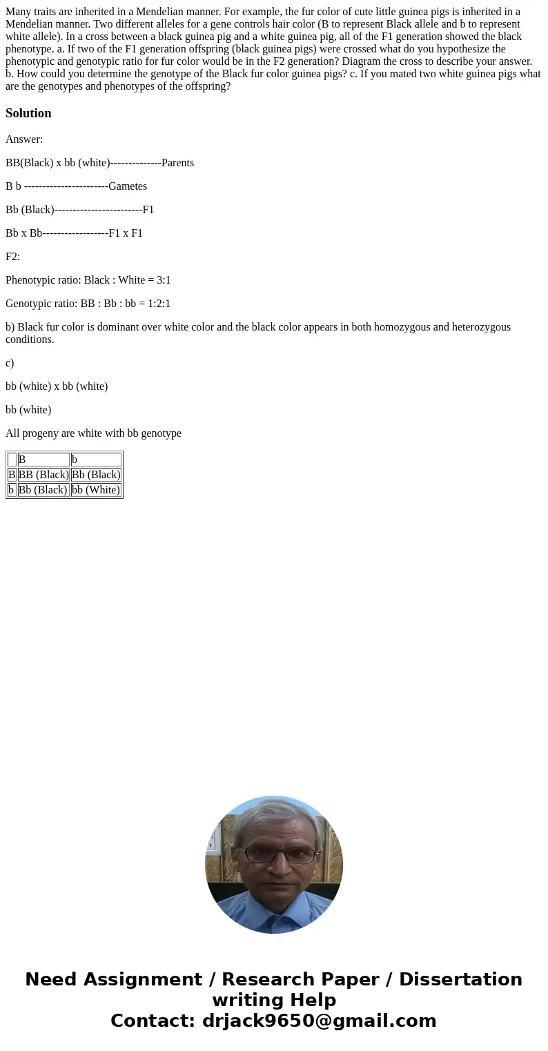 Many traits are inherited in a Mendelian manner. For example, the fur color of cute little guinea pigs is inherited in a Mendelian manner. Two different alleles Many traits are inherited in a Mendelian manner. For example, the fur color of cute little guinea pigs is inherited in a Mendelian manner. Two different alleles