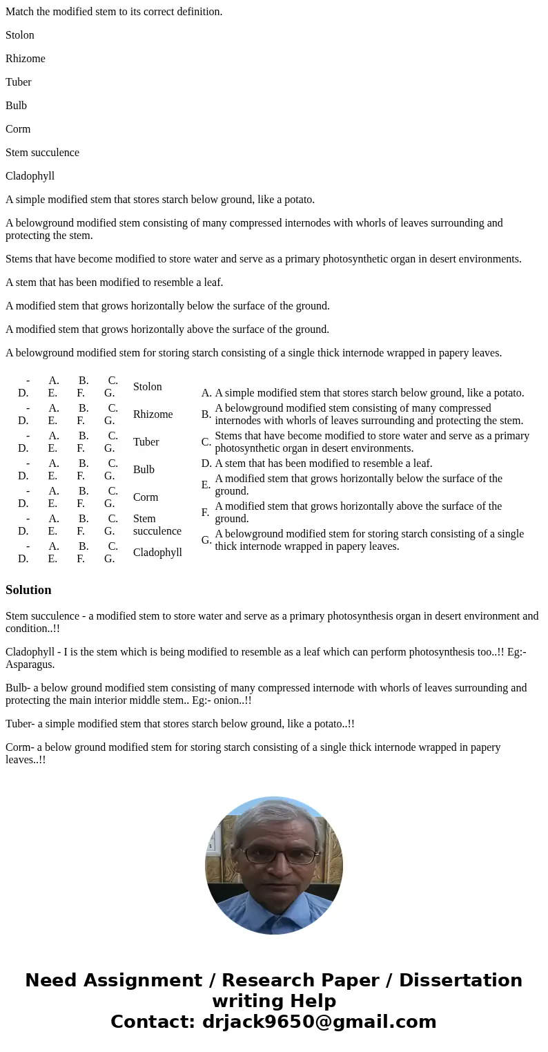 Match the modified stem to its correct definition. Stolon Rhizome Tuber Bulb Corm Stem succulence Cladophyll A simple modified stem that stores starch below gro Match the modified stem to its correct definition. Stolon Rhizome Tuber Bulb Corm Stem succulence Cladophyll A simple modified stem that stores starch below gro