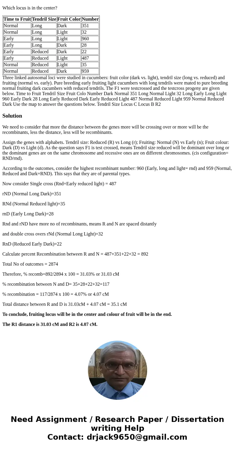 Use the map to answer the questions below. Tendril Size Locus B Locus C Which locus is in the center? Time to Fruit Tendril Size Fruit Color Number Normal Long  Use the map to answer the questions below. Tendril Size Locus B Locus C Which locus is in the center? Time to Fruit Tendril Size Fruit Color Number Normal Long