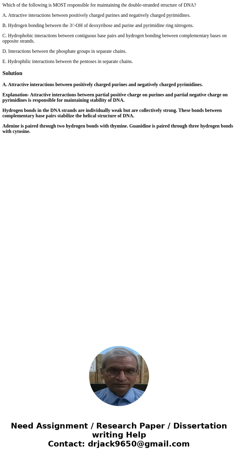 Which of the following is MOST responsible for maintaining the double-stranded structure of DNA? A. Attractive interactions between positively charged purines a