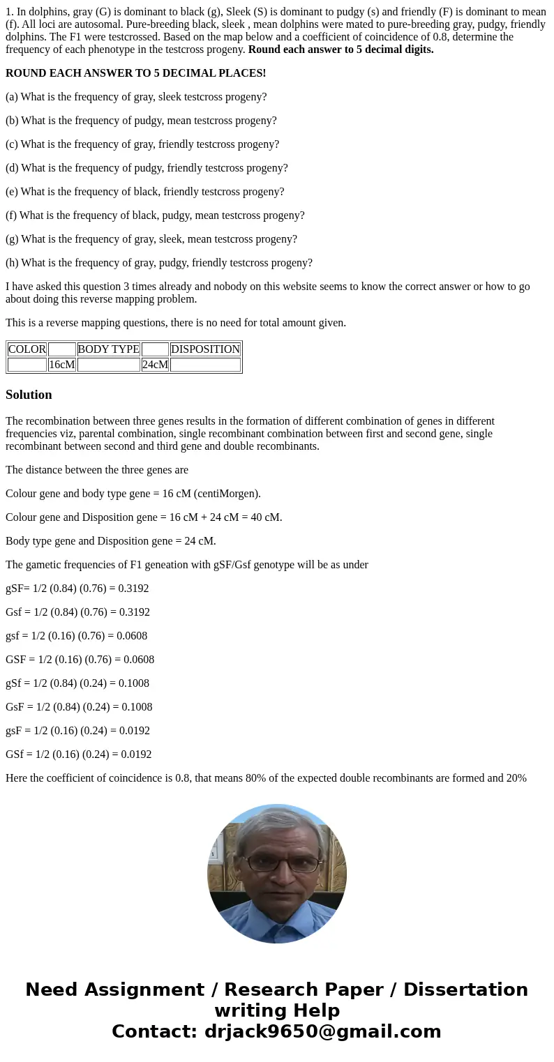 1. In dolphins, gray (G) is dominant to black (g), Sleek (S) is dominant to pudgy (s) and friendly (F) is dominant to mean (f). All loci are autosomal. Pure-bre
