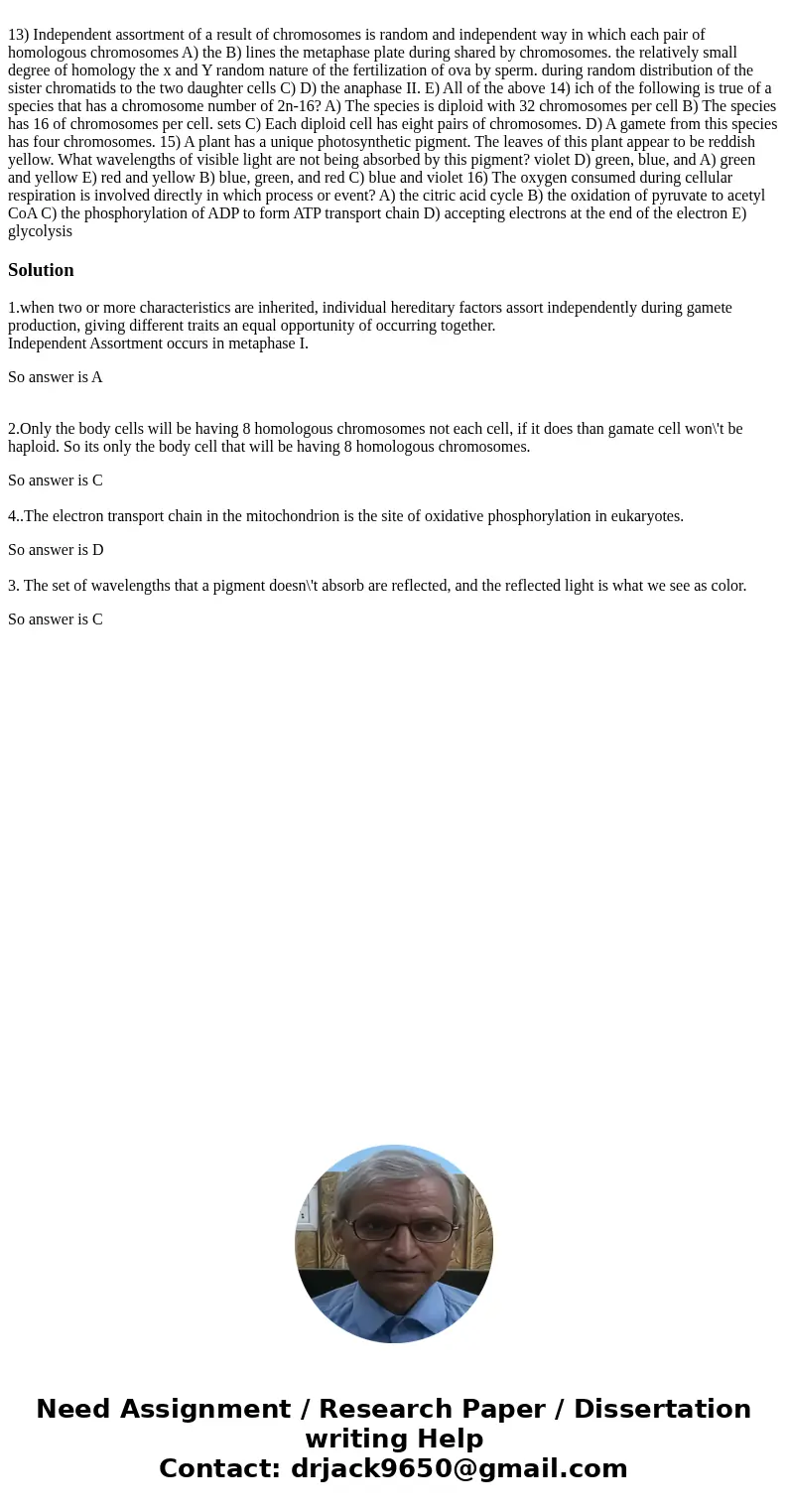  13) Independent assortment of a result of chromosomes is random and independent way in which each pair of homologous chromosomes A) the B) lines the metaphase 