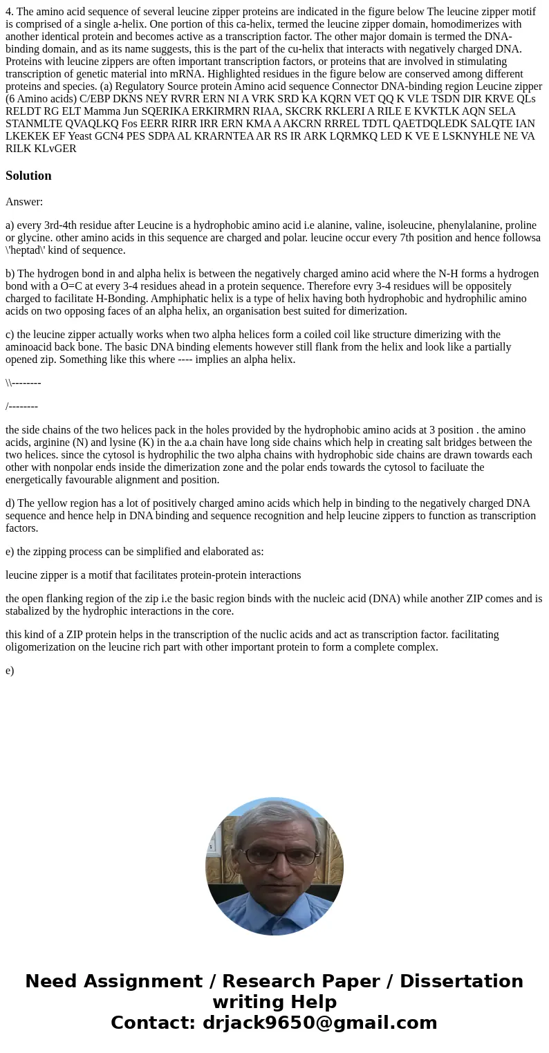4. The amino acid sequence of several leucine zipper proteins are indicated in the figure below The leucine zipper motif is comprised of a single a-helix. One   4. The amino acid sequence of several leucine zipper proteins are indicated in the figure below The leucine zipper motif is comprised of a single a-helix. One