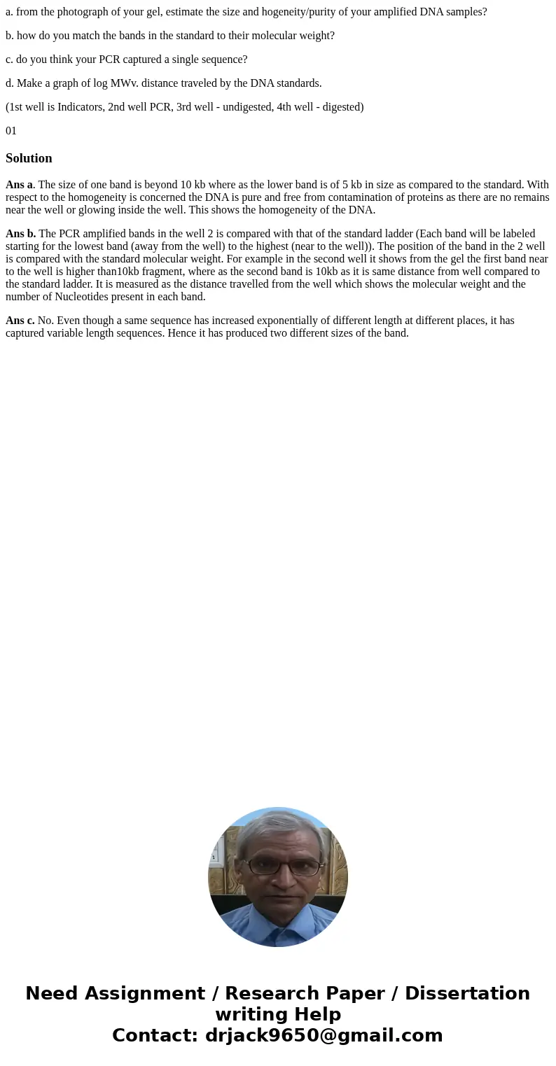 a. from the photograph of your gel, estimate the size and hogeneity/purity of your amplified DNA samples? b. how do you match the bands in the standard to their