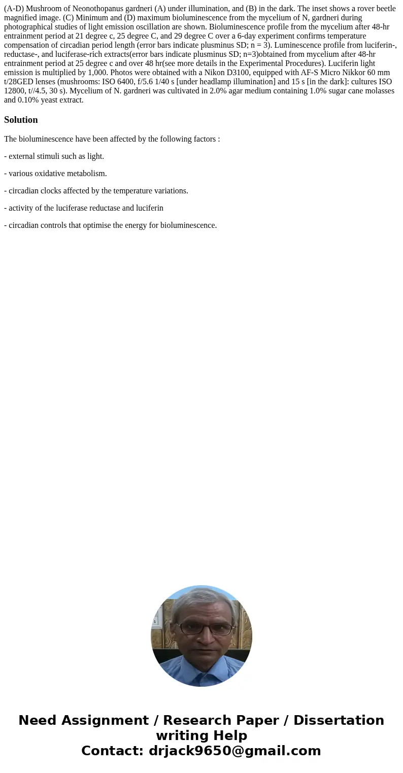 (A-D) Mushroom of Neonothopanus gardneri (A) under illumination, and (B) in the dark. The inset shows a rover beetle magnified image. (C) Minimum and (D) maxim  (A-D) Mushroom of Neonothopanus gardneri (A) under illumination, and (B) in the dark. The inset shows a rover beetle magnified image. (C) Minimum and (D) maxim