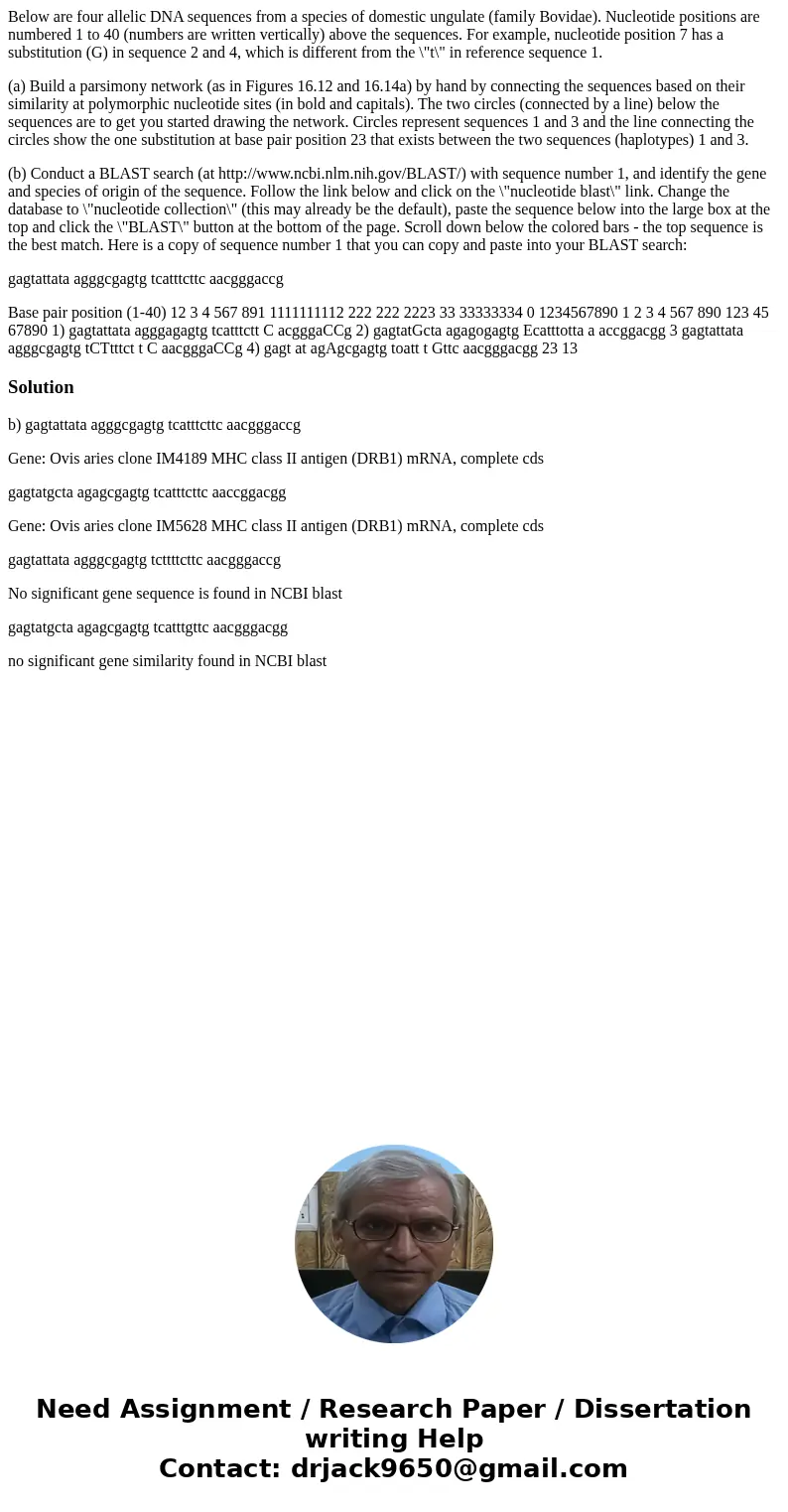 Below are four allelic DNA sequences from a species of domestic ungulate (family Bovidae). Nucleotide positions are numbered 1 to 40 (numbers are written vertic