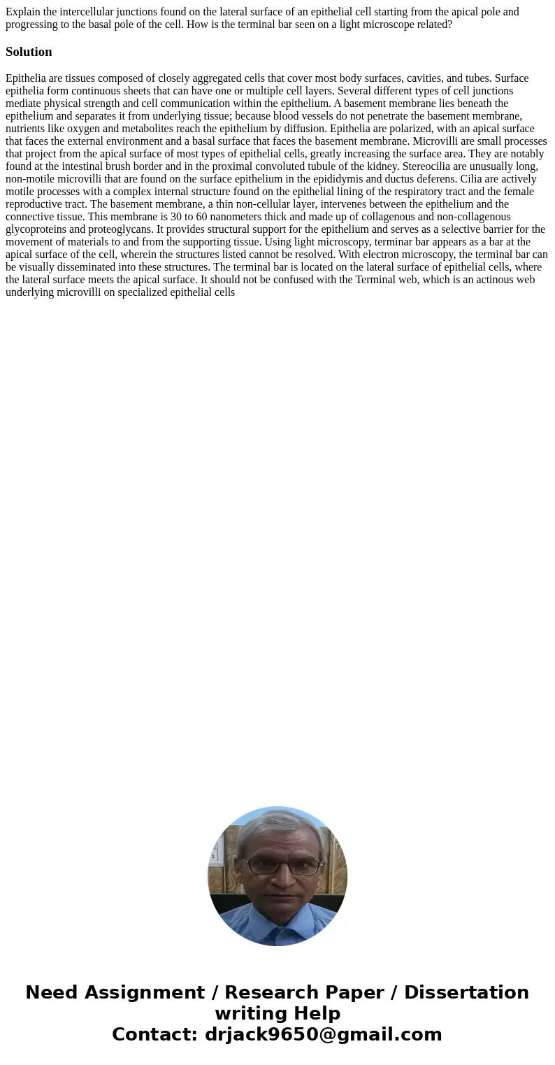 Explain the intercellular junctions found on the lateral surface of an epithelial cell starting from the apical pole and progressing to the basal pole of the ce