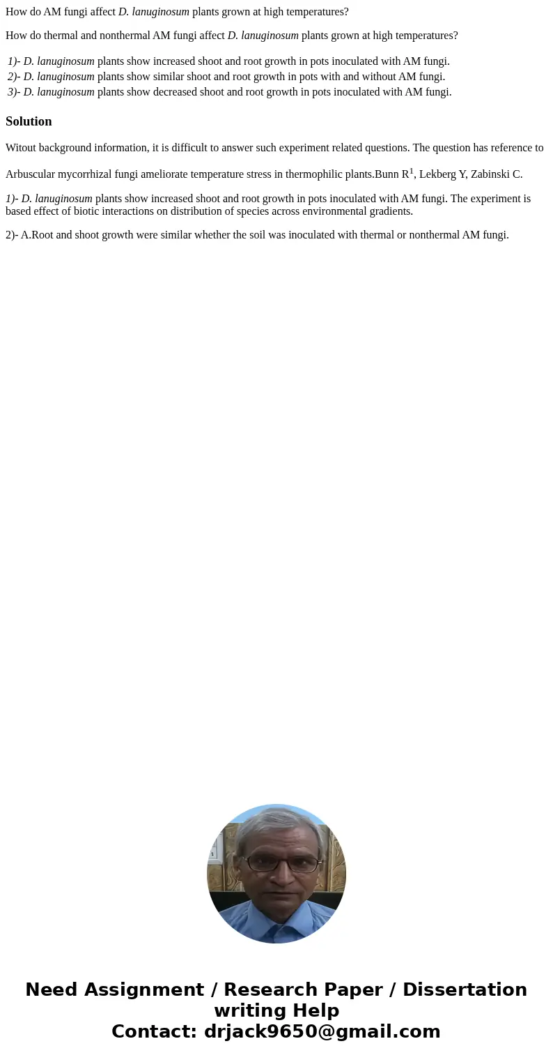 How do AM fungi affect D. lanuginosum plants grown at high temperatures? How do thermal and nonthermal AM fungi affect D. lanuginosum plants grown at high tempe