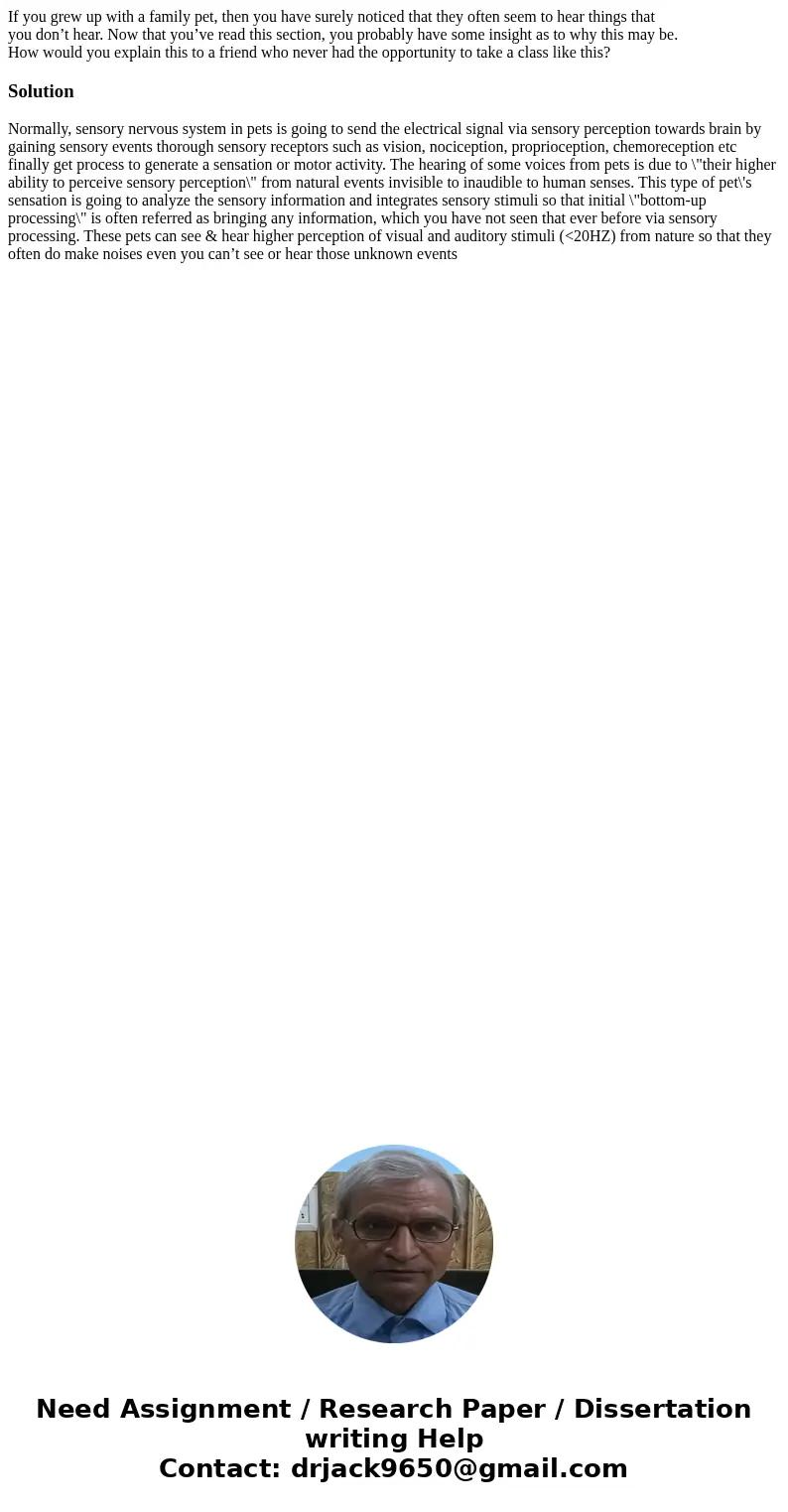 If you grew up with a family pet, then you have surely noticed that they often seem to hear things that you don’t hear. Now that you’ve read this section, you p If you grew up with a family pet, then you have surely noticed that they often seem to hear things that you don’t hear. Now that you’ve read this section, you p