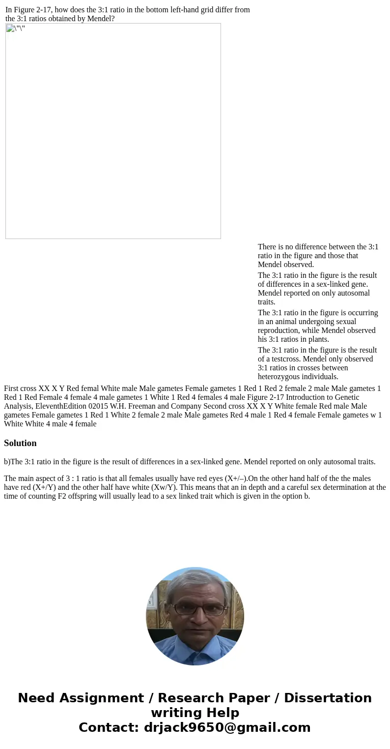  In Figure 2-17, how does the 3:1 ratio in the bottom left-hand grid differ from the 3:1 ratios obtained by Mendel? There is no difference between the 3:1 ratio