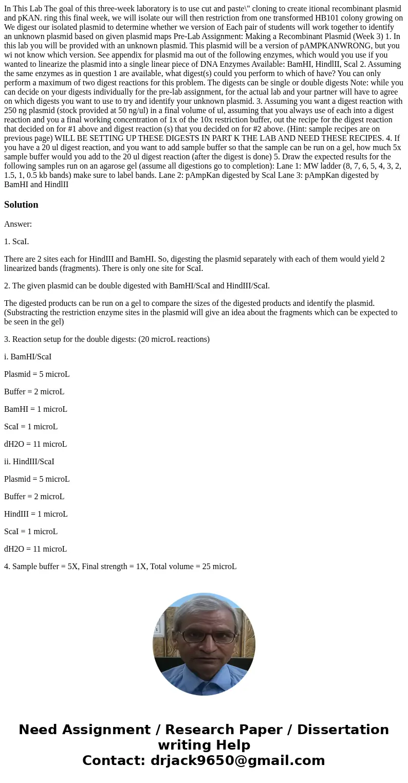  In This Lab The goal of this three-week laboratory is to use cut and paste\