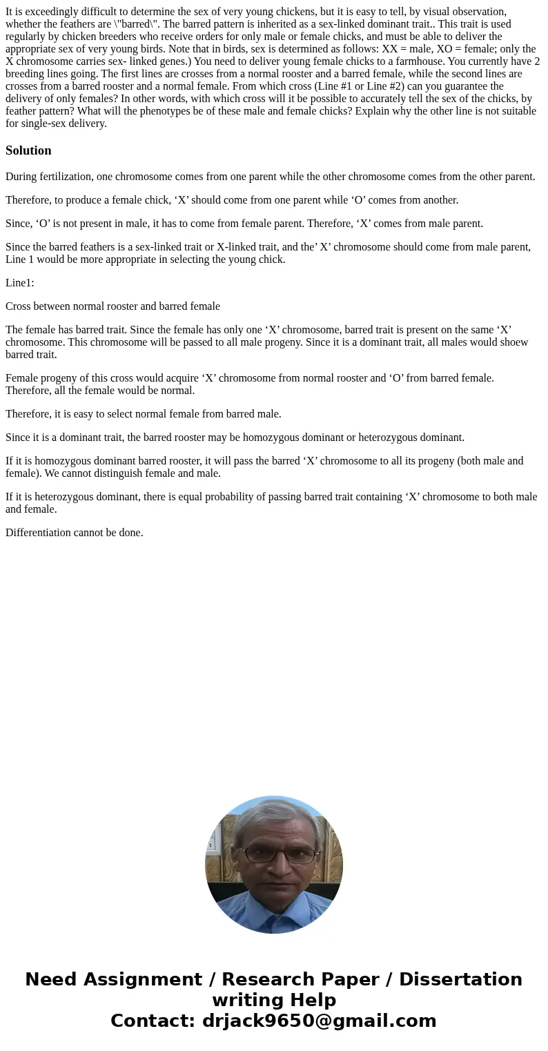 It is exceedingly difficult to determine the sex of very young chickens, but it is easy to tell, by visual observation, whether the feathers are \  It is exceedingly difficult to determine the sex of very young chickens, but it is easy to tell, by visual observation, whether the feathers are \