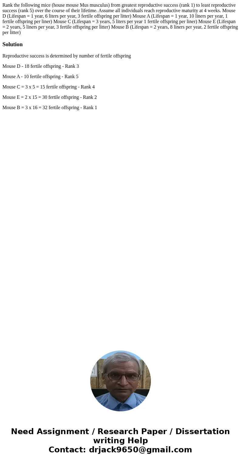  Rank the following mice (house mouse Mus musculus) from greatest reproductive success (rank 1) to least reproductive success (rank 5) over the course of their 