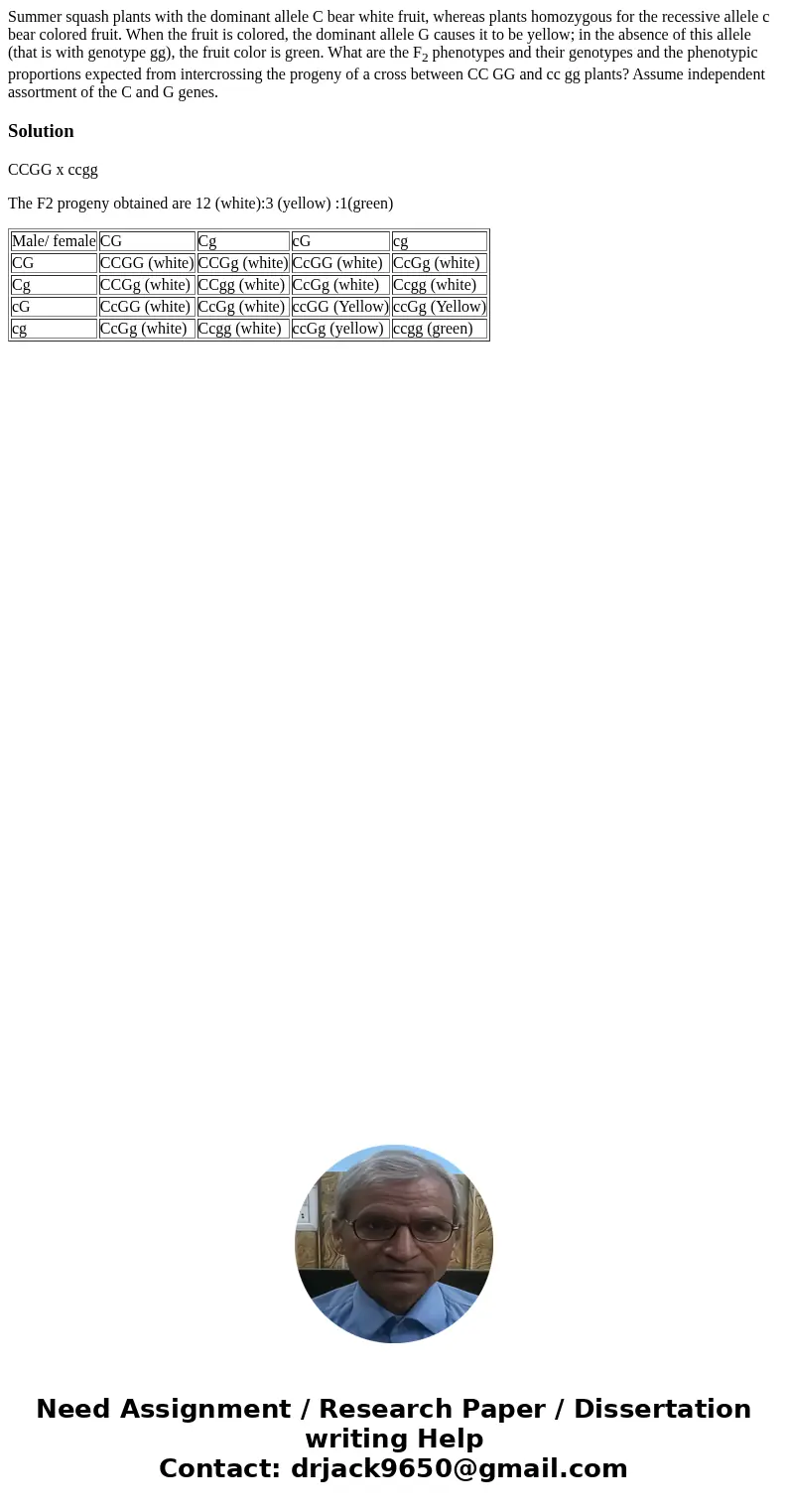 Summer squash plants with the dominant allele C bear white fruit, whereas plants homozygous for the recessive allele c bear colored fruit. When the fruit is col