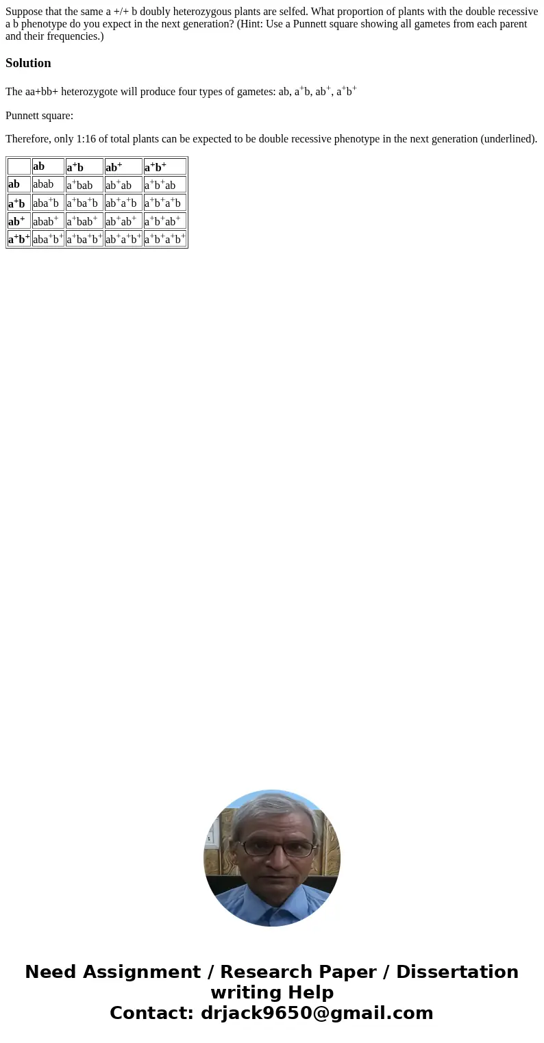 Suppose that the same a +/+ b doubly heterozygous plants are selfed. What proportion of plants with the double recessive a b phenotype do you expect in the next Suppose that the same a +/+ b doubly heterozygous plants are selfed. What proportion of plants with the double recessive a b phenotype do you expect in the next