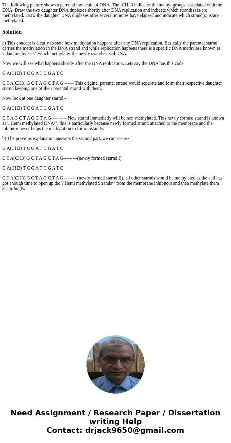 The following picture shows a parental molecule of DNA. The -CH_3 indicates the methyl groups associated with the DNA. Draw the two daughter DNA duplexes short  The following picture shows a parental molecule of DNA. The -CH_3 indicates the methyl groups associated with the DNA. Draw the two daughter DNA duplexes short