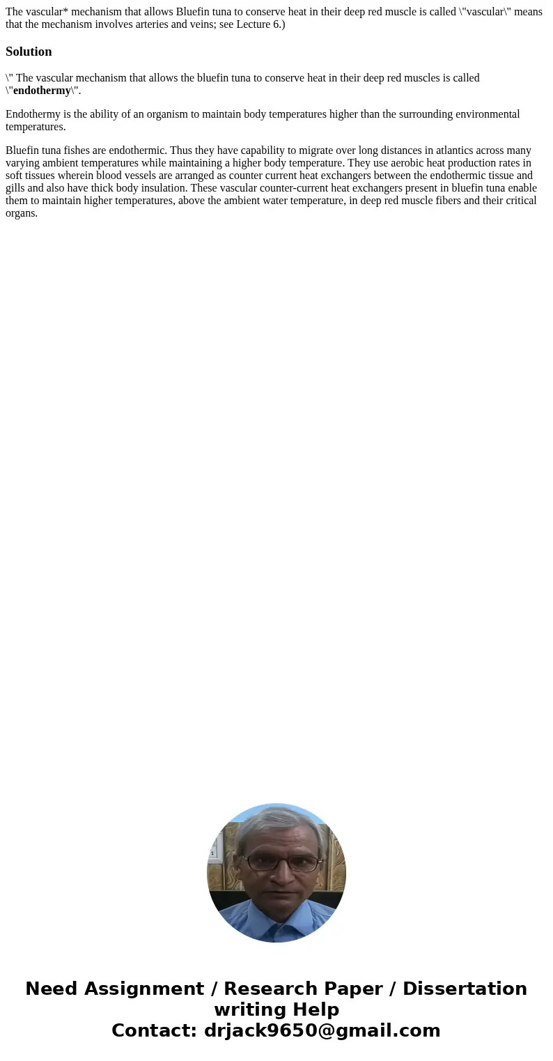 The vascular* mechanism that allows Bluefin tuna to conserve heat in their deep red muscle is called \  The vascular* mechanism that allows Bluefin tuna to conserve heat in their deep red muscle is called \