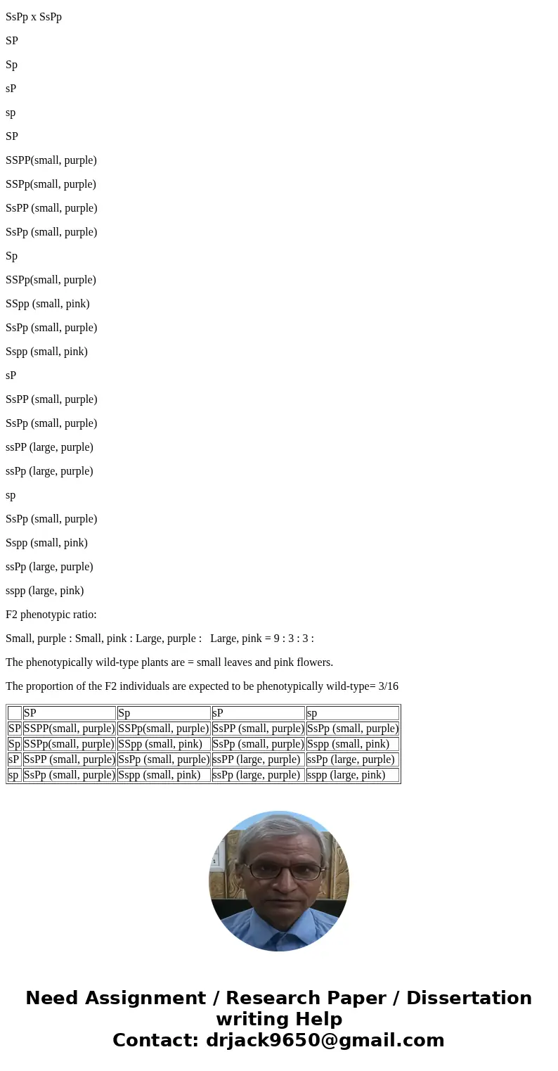 Two pure-breeding mutant plants were crossed: One had large leaves (wild-type leaves are small) and the other made purple flowers (wild-type flowers are pink). 