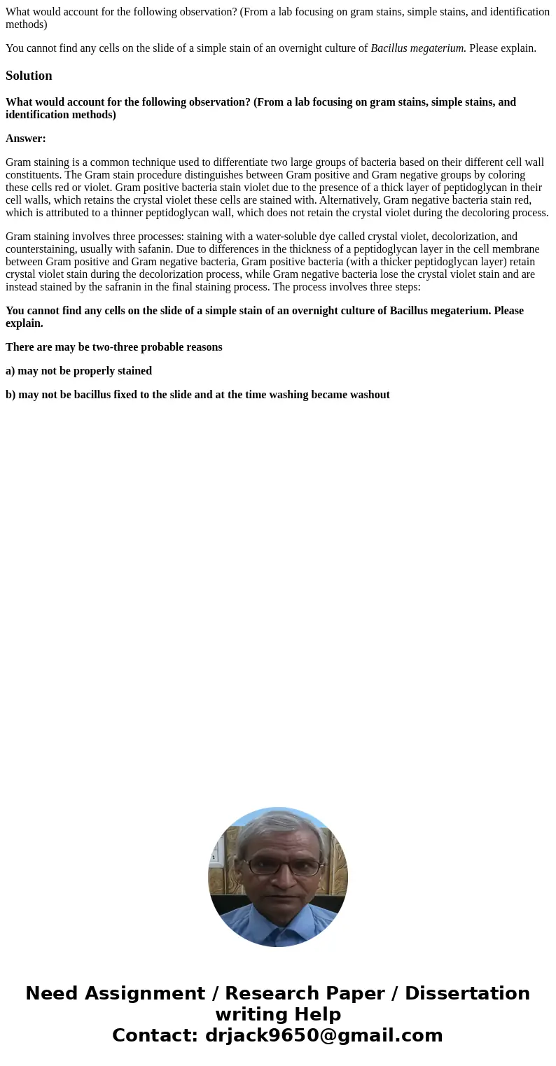 What would account for the following observation? (From a lab focusing on gram stains, simple stains, and identification methods) You cannot find any cells on t