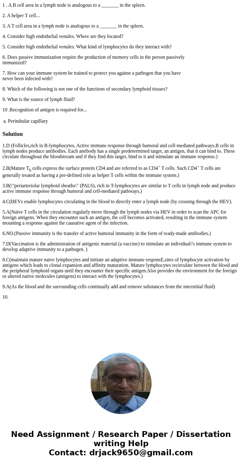 1 . A B cell area in a lymph node is analogous to a _______ in the spleen. 2. A helper T cell... 3. A T cell area in a lymph node is analogous to a _______ in t