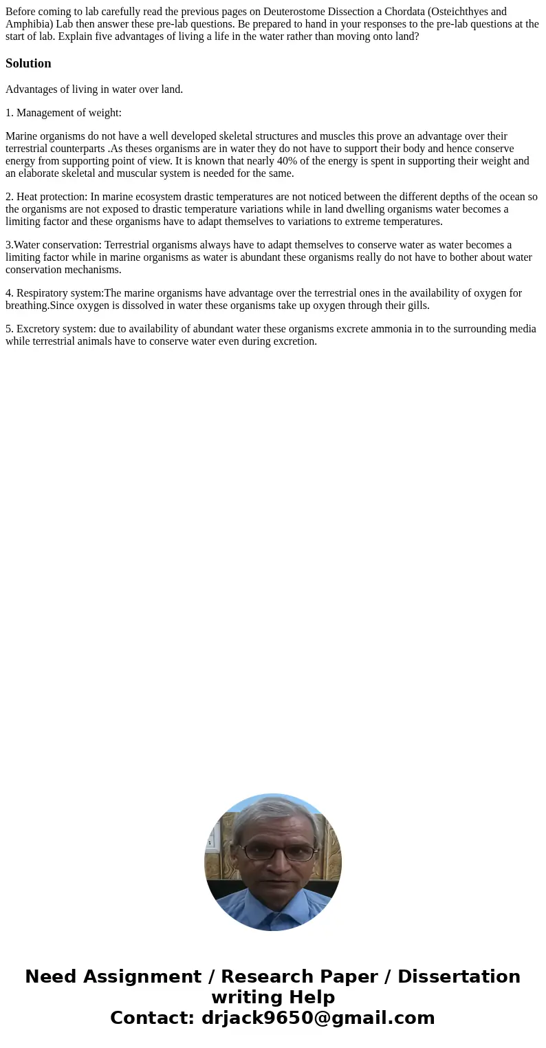 Before coming to lab carefully read the previous pages on Deuterostome Dissection a Chordata (Osteichthyes and Amphibia) Lab then answer these pre-lab question  Before coming to lab carefully read the previous pages on Deuterostome Dissection a Chordata (Osteichthyes and Amphibia) Lab then answer these pre-lab question