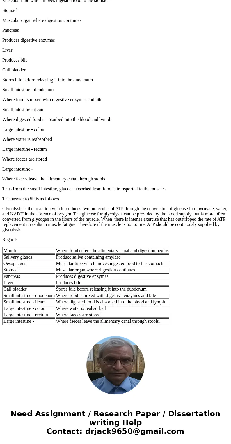  Describe how the body\'s major organ systems work together to get glucose from the digestive system to the muscle cells of the leg. What other body systems are