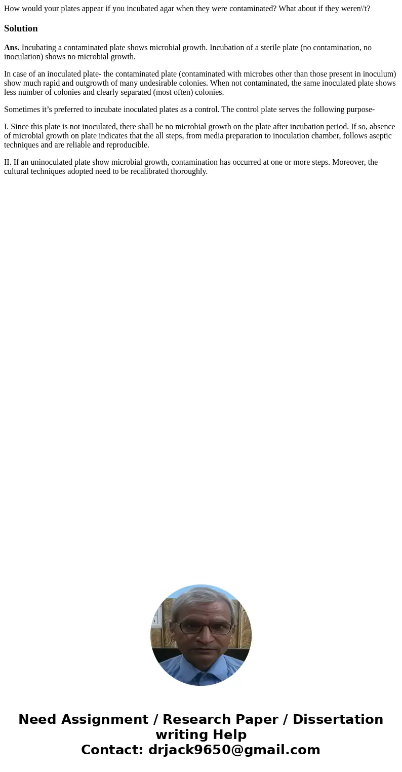How would your plates appear if you incubated agar when they were contaminated? What about if they weren\'t?SolutionAns. Incubating a contaminated plate shows m How would your plates appear if you incubated agar when they were contaminated? What about if they weren\'t?SolutionAns. Incubating a contaminated plate shows m