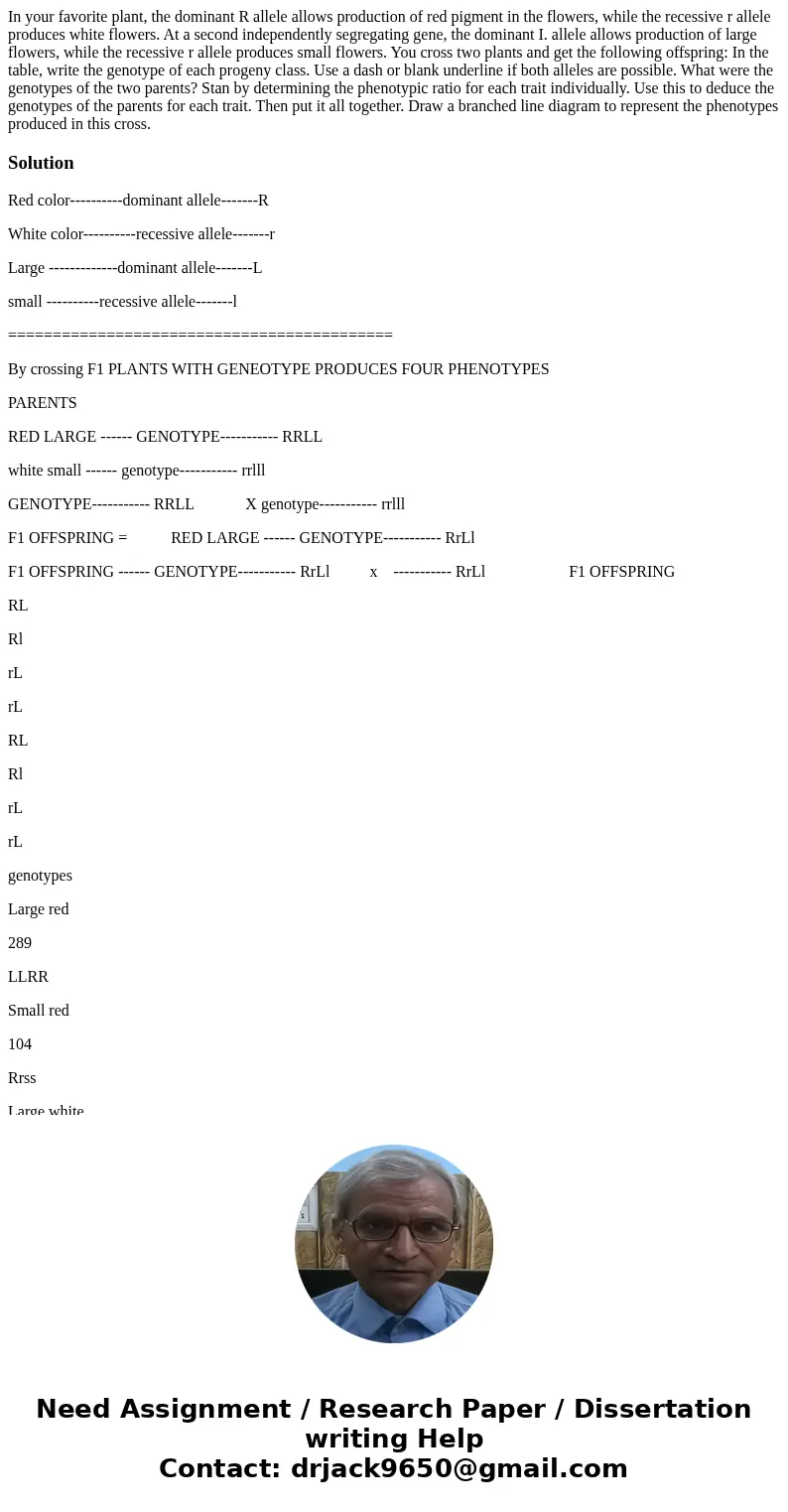 In your favorite plant, the dominant R allele allows production of red pigment in the flowers, while the recessive r allele produces white flowers. At a second