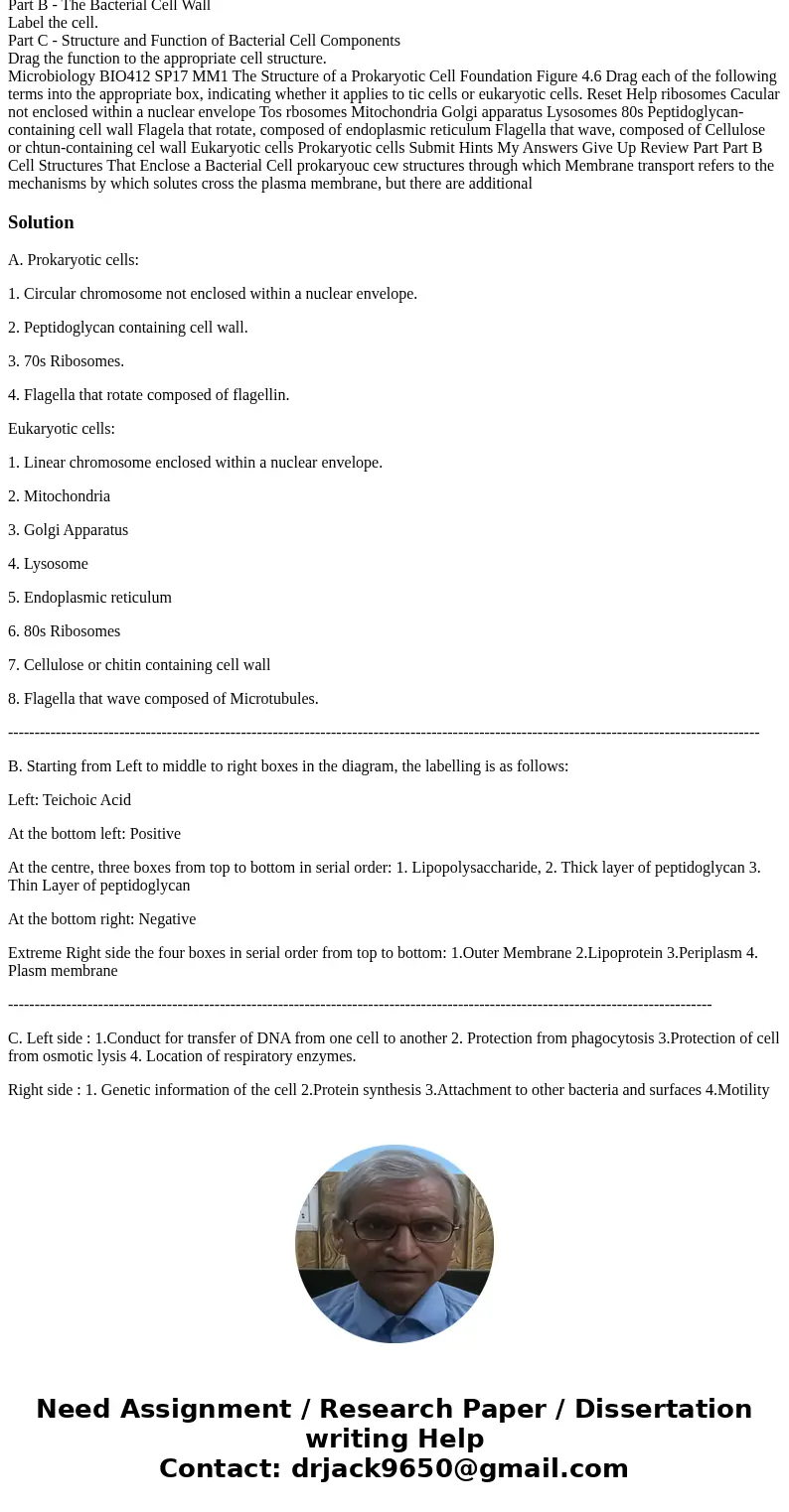 Part A - Distinguishing features of prokaryotic and eukaryotic cells Part B - The Bacterial Cell Wall Label the cell. Part C - Structure and Function of Bacteri Part A - Distinguishing features of prokaryotic and eukaryotic cells Part B - The Bacterial Cell Wall Label the cell. Part C - Structure and Function of Bacteri