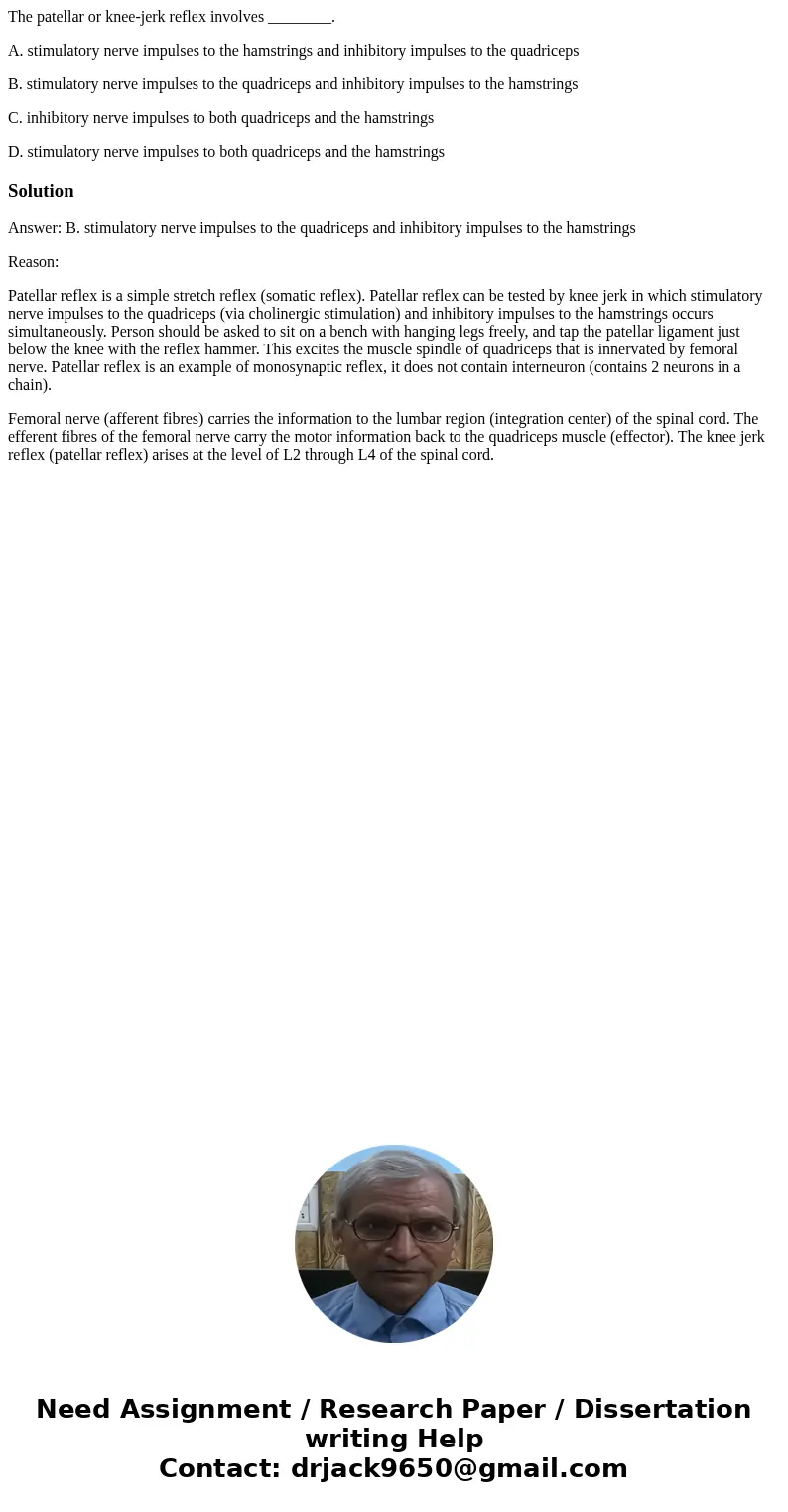 The patellar or knee-jerk reflex involves ________. A. stimulatory nerve impulses to the hamstrings and inhibitory impulses to the quadriceps B. stimulatory ner