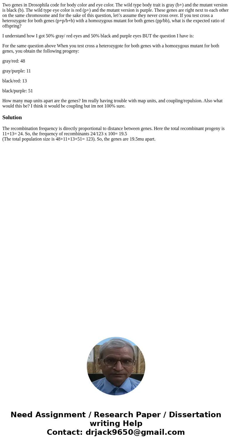 Two genes in Drosophila code for body color and eye color. The wild type body trait is gray (b+) and the mutant version is black (b). The wild type eye color is