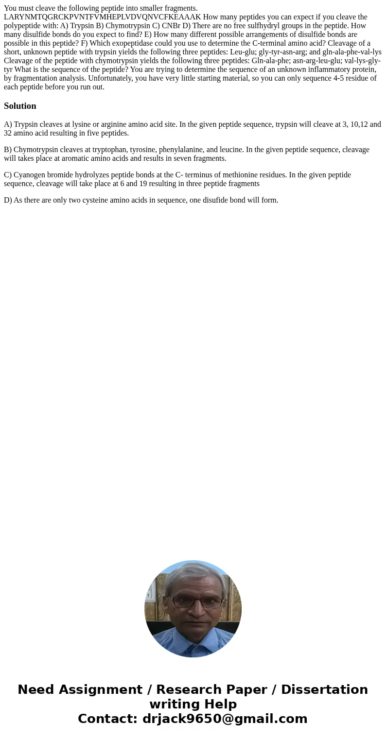 You must cleave the following peptide into smaller fragments. LARYNMTQGRCKPVNTFVMHEPLVDVQNVCFKEAAAK How many peptides you can expect if you cleave the polypept  You must cleave the following peptide into smaller fragments. LARYNMTQGRCKPVNTFVMHEPLVDVQNVCFKEAAAK How many peptides you can expect if you cleave the polypept