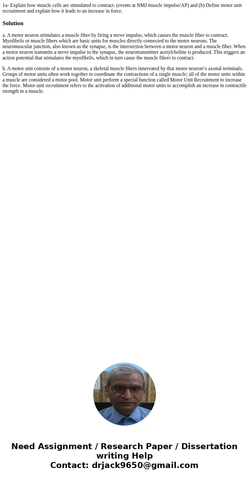 1a- Explain how muscle cells are stimulated to contract. (events at NMJ muscle impulse/AP) and (b) Define motor unit recruitment and explain how it leads to an 