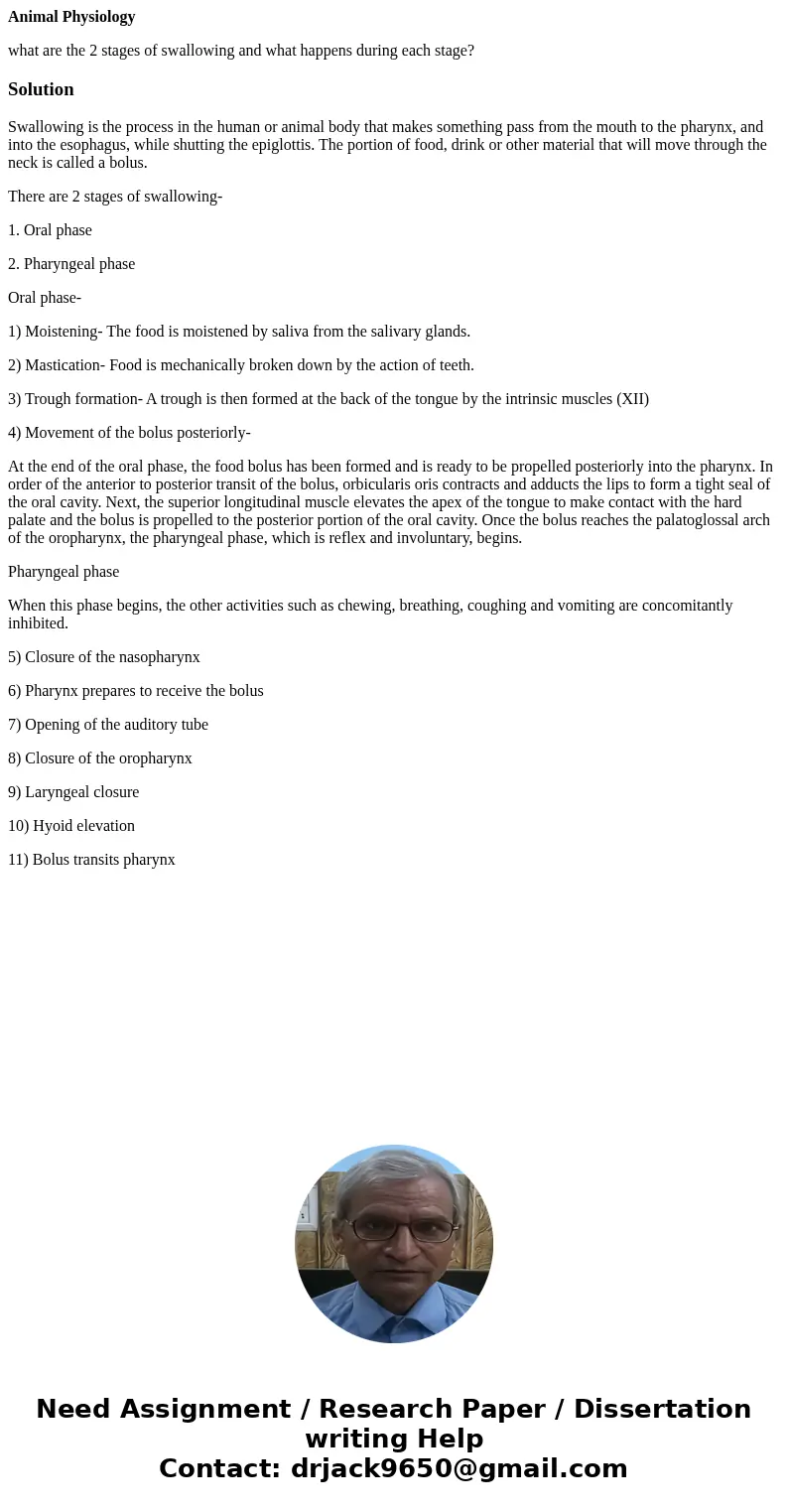 Animal Physiology what are the 2 stages of swallowing and what happens during each stage?SolutionSwallowing is the process in the human or animal body that make