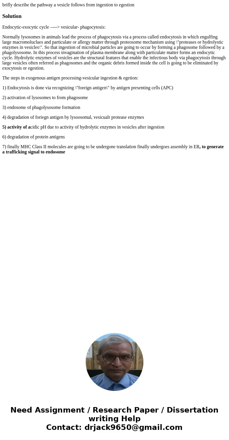 brifly describe the pathway a vesicle follows from ingestion to egestionSolutionEndocytic-exocytic cycle –---> vesicular- phagocytosis: Normally lysosomes in brifly describe the pathway a vesicle follows from ingestion to egestionSolutionEndocytic-exocytic cycle –---> vesicular- phagocytosis: Normally lysosomes in