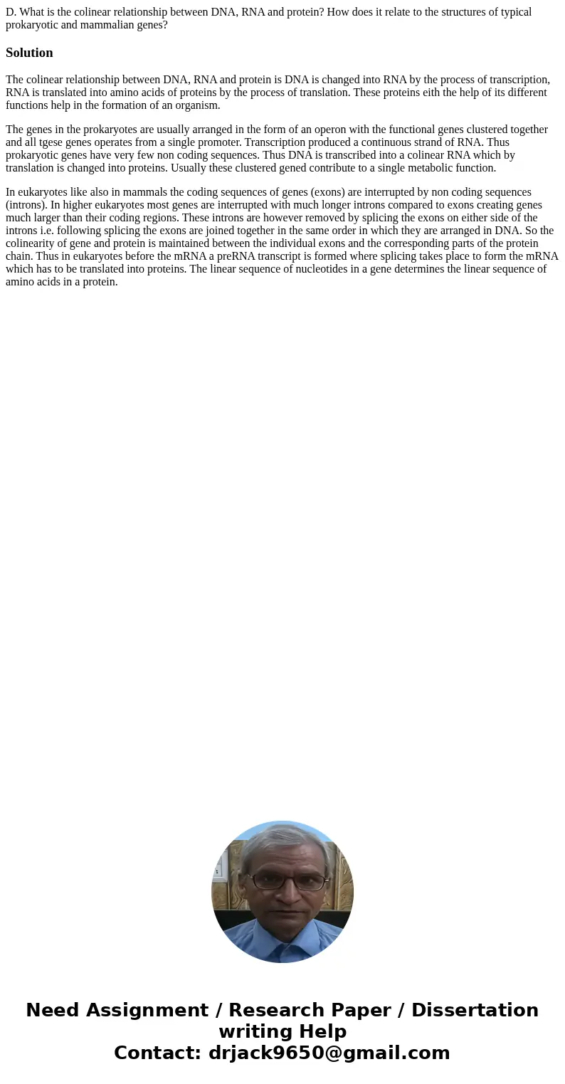 D. What is the colinear relationship between DNA, RNA and protein? How does it relate to the structures of typical prokaryotic and mammalian genes?SolutionThe c D. What is the colinear relationship between DNA, RNA and protein? How does it relate to the structures of typical prokaryotic and mammalian genes?SolutionThe c