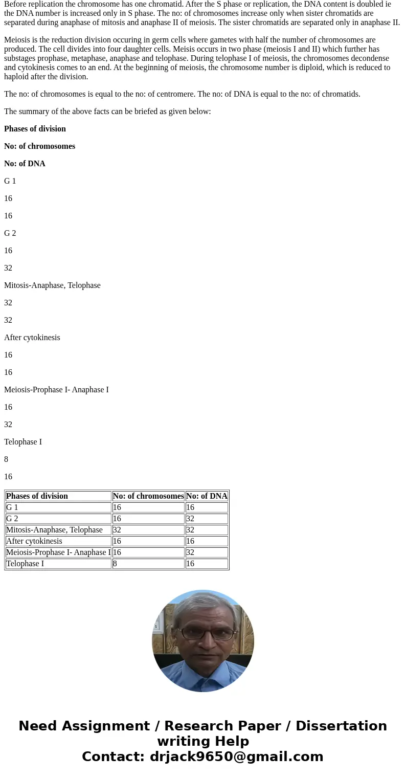 Each chromosome consists of only one centromere, but during certain times in the cell cycle could consist of two DNA molecules (sister chromatids). If a cell i  Each chromosome consists of only one centromere, but during certain times in the cell cycle could consist of two DNA molecules (sister chromatids). If a cell i