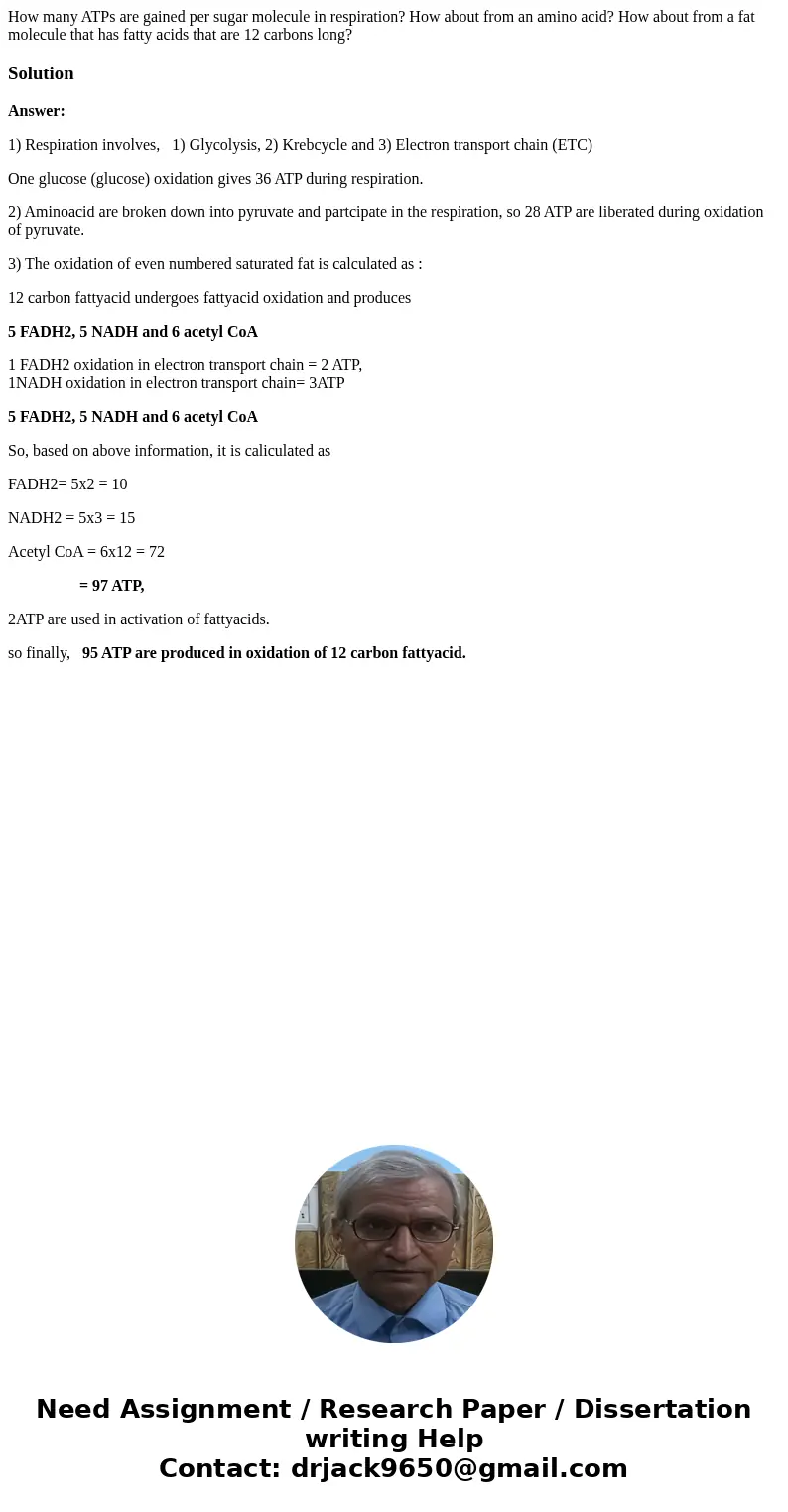 How many ATPs are gained per sugar molecule in respiration? How about from an amino acid? How about from a fat molecule that has fatty acids that are 12 carbons