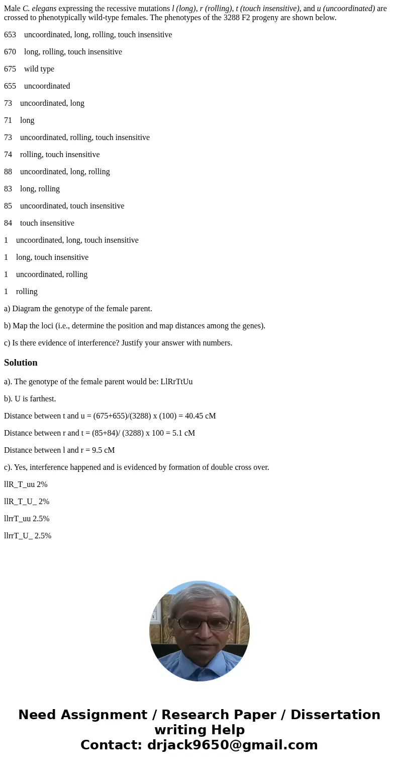 Male C. elegans expressing the recessive mutations l (long), r (rolling), t (touch insensitive), and u (uncoordinated) are crossed to phenotypically wild-type f