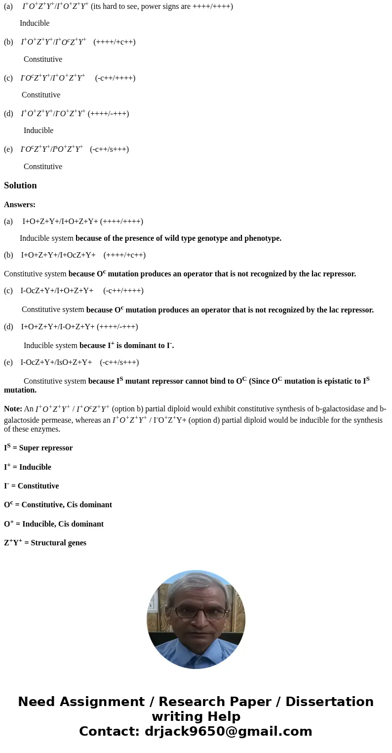 Problem) For each of the following partial diploids indicate whether enzyme synthesis is constitutive or inducible. Answer is given below could you explain how  Problem) For each of the following partial diploids indicate whether enzyme synthesis is constitutive or inducible. Answer is given below could you explain how