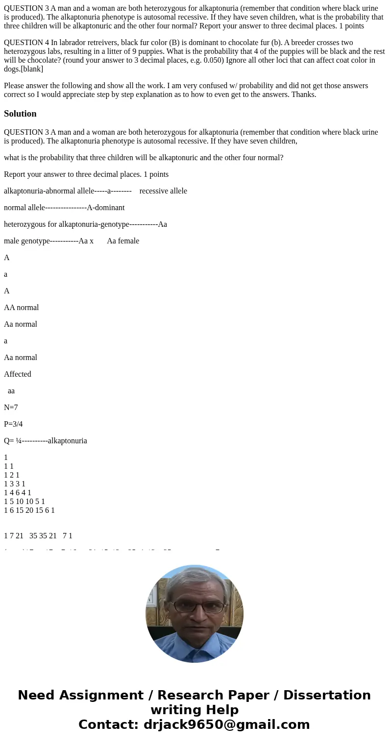 QUESTION 3 A man and a woman are both heterozygous for alkaptonuria (remember that condition where black urine is produced). The alkaptonuria phenotype is autos