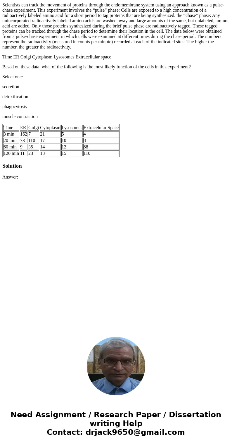 Scientists can track the movement of proteins through the endomembrane system using an approach known as a pulse-chase experiment. This experiment involves the 