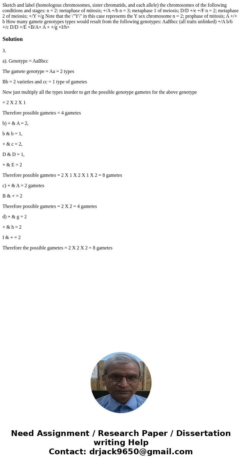  Sketch and label (homologous chromosomes, sister chromatids, and each allele) the chromosomes of the following conditions and stages: n = 2: metaphase of mitos