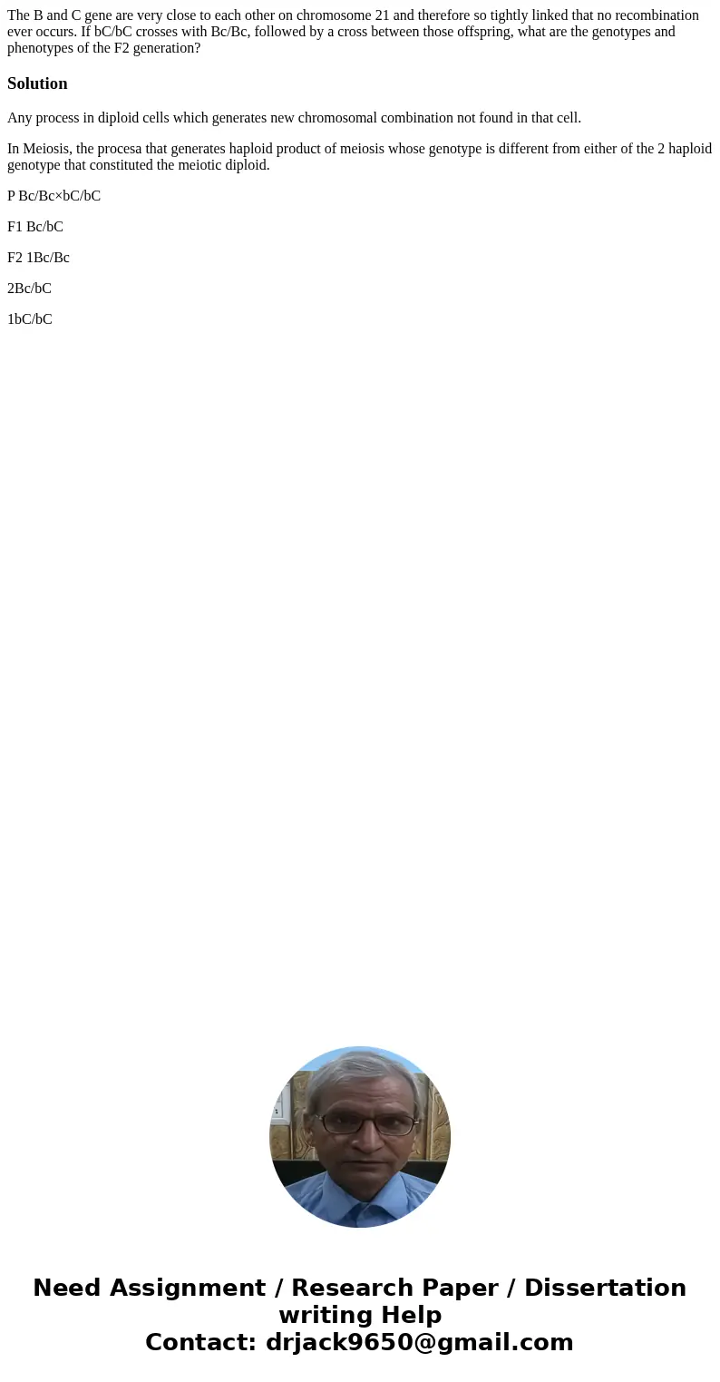 The B and C gene are very close to each other on chromosome 21 and therefore so tightly linked that no recombination ever occurs. If bC/bC crosses with Bc/Bc, f The B and C gene are very close to each other on chromosome 21 and therefore so tightly linked that no recombination ever occurs. If bC/bC crosses with Bc/Bc, f
