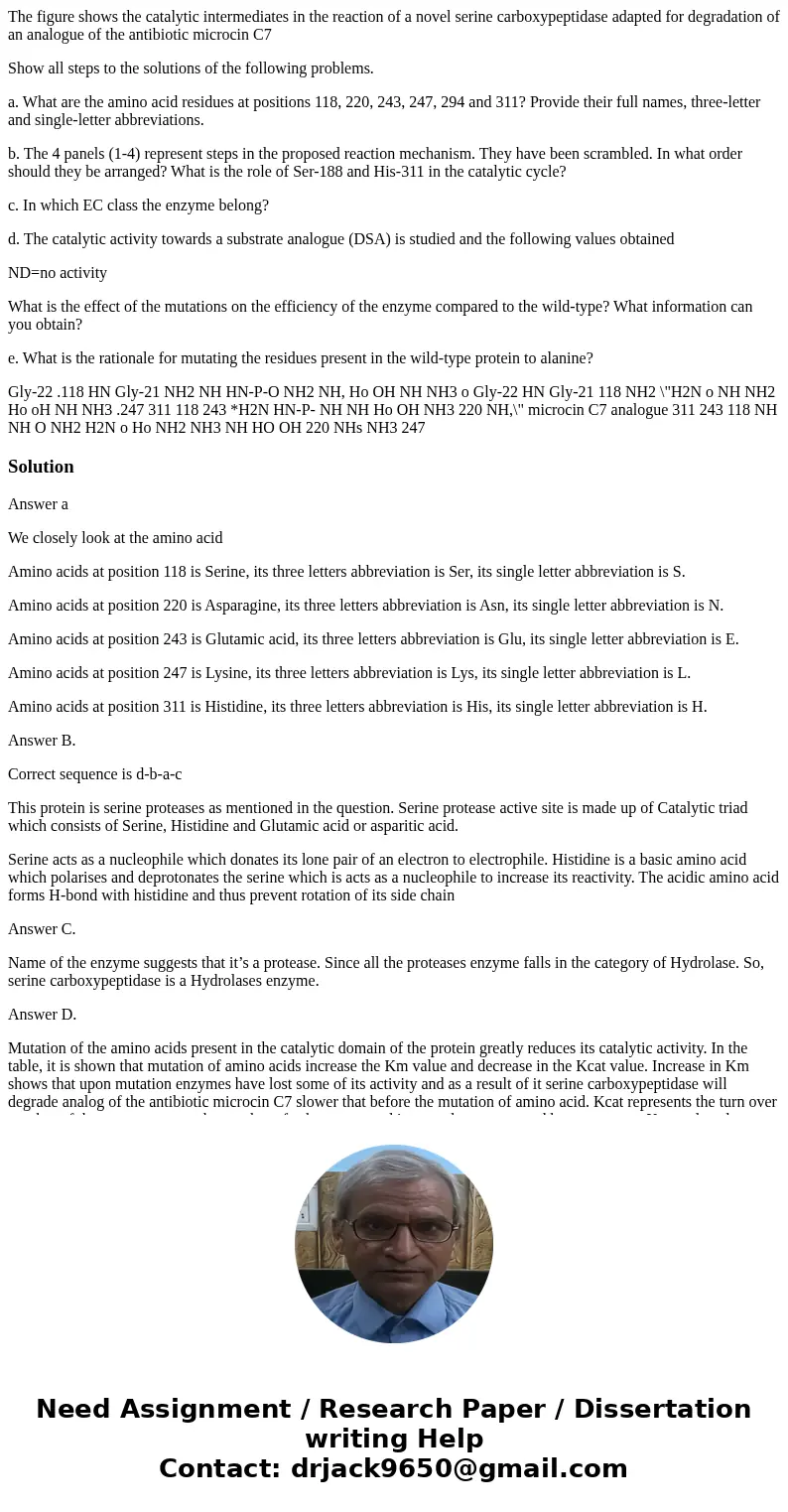 The figure shows the catalytic intermediates in the reaction of a novel serine carboxypeptidase adapted for degradation of an analogue of the antibiotic microci