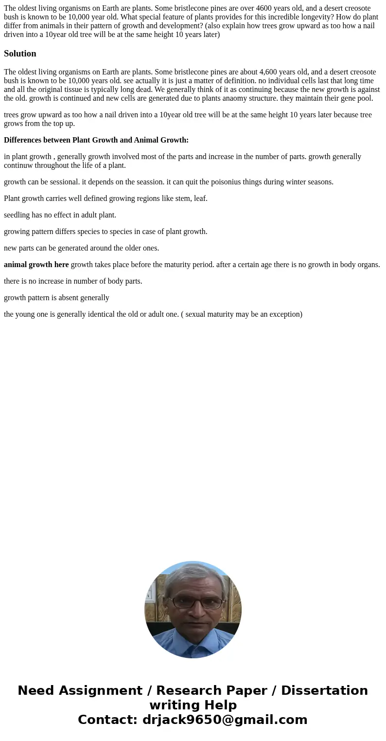 The oldest living organisms on Earth are plants. Some bristlecone pines are over 4600 years old, and a desert creosote bush is known to be 10,000 year old. What