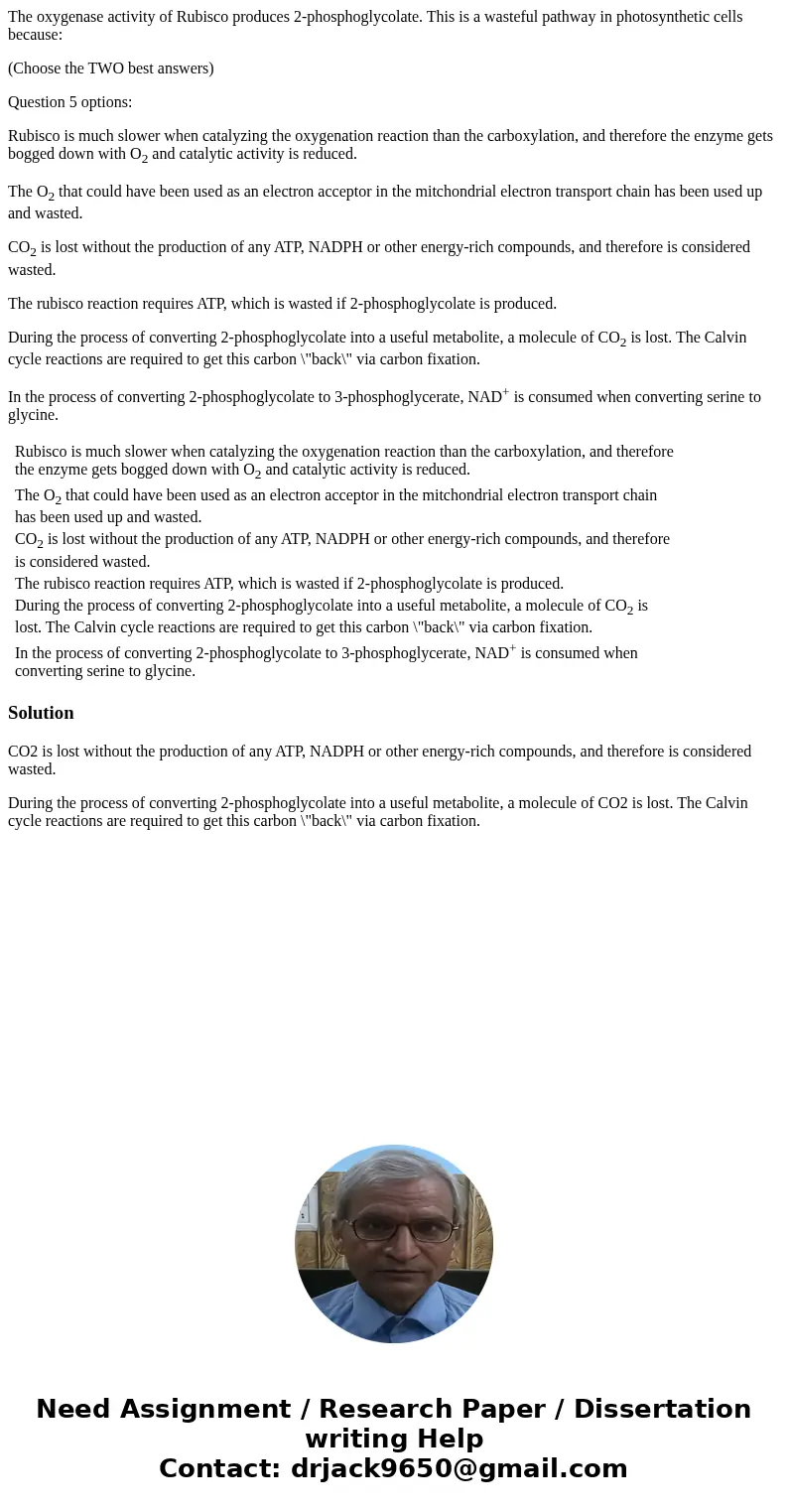 The oxygenase activity of Rubisco produces 2-phosphoglycolate. This is a wasteful pathway in photosynthetic cells because: (Choose the TWO best answers) Questio