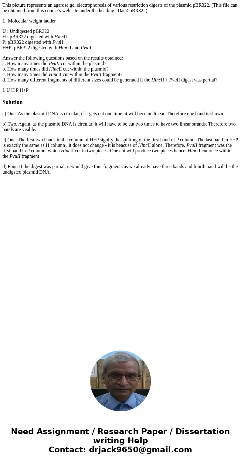 This picture represents an agarose gel electrophoresis of various restriction digests of the plasmid pBR322. (This file can be obtained from this course’s web s